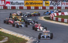 Гран При Бразилии 1993